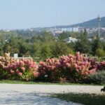 22.09.2020. Kielce. Jesień w ogrodzie botanicznym / Wiktor Taszłow / Radio Kielce