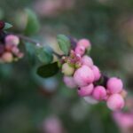 22.09.2020. Kielce. Jesień w ogrodzie botanicznym / Wiktor Taszłow / Radio Kielce