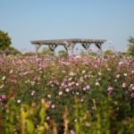 22.09.2020. Kielce. Jesień w ogrodzie botanicznym / Wiktor Taszłow / Radio Kielce