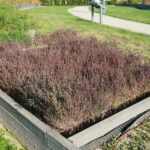 22.09.2020. Kielce. Jesień w ogrodzie botanicznym / Wiktor Taszłow / Radio Kielce