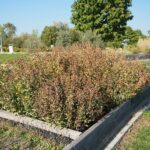 22.09.2020. Kielce. Jesień w ogrodzie botanicznym / Wiktor Taszłow / Radio Kielce