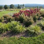 22.09.2020. Kielce. Jesień w ogrodzie botanicznym / Wiktor Taszłow / Radio Kielce