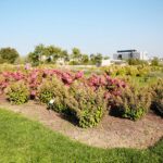 22.09.2020. Kielce. Jesień w ogrodzie botanicznym / Wiktor Taszłow / Radio Kielce