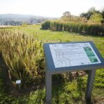 22.09.2020. Kielce. Jesień w ogrodzie botanicznym / Wiktor Taszłow / Radio Kielce