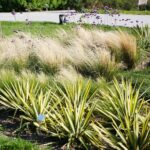 22.09.2020. Kielce. Jesień w ogrodzie botanicznym / Wiktor Taszłow / Radio Kielce