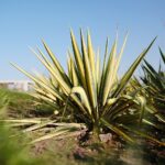 22.09.2020. Kielce. Jesień w ogrodzie botanicznym / Wiktor Taszłow / Radio Kielce