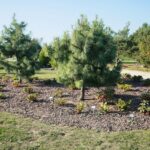 22.09.2020. Kielce. Jesień w ogrodzie botanicznym / Wiktor Taszłow / Radio Kielce