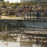 22.09.2020. Kielce. Jesień w ogrodzie botanicznym / Wiktor Taszłow / Radio Kielce