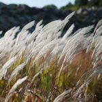 Fot. Wiktor Taszłow - Radio Kielce