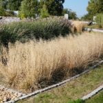 22.09.2020. Kielce. Jesień w ogrodzie botanicznym / Wiktor Taszłow / Radio Kielce