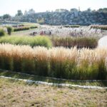 22.09.2020. Kielce. Jesień w ogrodzie botanicznym / Wiktor Taszłow / Radio Kielce