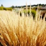 22.09.2020. Kielce. Jesień w ogrodzie botanicznym / Wiktor Taszłow / Radio Kielce