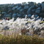 22.09.2020. Kielce. Jesień w ogrodzie botanicznym / Wiktor Taszłow / Radio Kielce