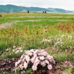 Mongolia / Danuta Rasała