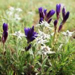 Mongolia / Danuta Rasała