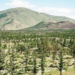 Mongolia / Danuta Rasała