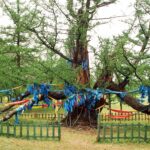 Mongolia / Danuta Rasała