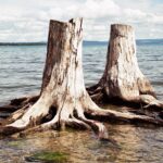 Mongolia / Danuta Rasała