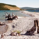 Mongolia / Danuta Rasała