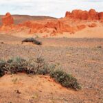 Mongolia / Danuta Rasała