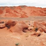 Mongolia / Danuta Rasała