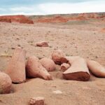 Mongolia / Danuta Rasała