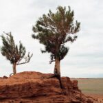 Mongolia / Danuta Rasała