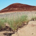 Mongolia / Danuta Rasała