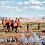 Mongolia / Danuta Rasała