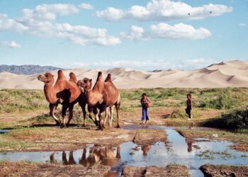 Mongolia / Danuta Rasała