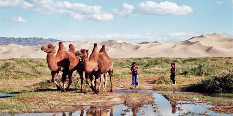 Mongolia / Danuta Rasała