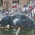 Muzyczne podróże. Waranasi. Indie / Danuta Rasała