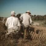 Boszczynek. Plan zdjęciowy filmu „Z zapomnianych spichlerzy przestałej boszczyńskiej zasieki” / HMedia