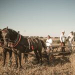 Boszczynek. Plan zdjęciowy filmu „Z zapomnianych spichlerzy przestałej boszczyńskiej zasieki” / HMedia