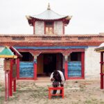 Mongolia / Danuta Rasała