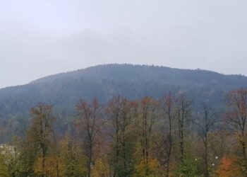 M. Skowronek / Radio Kraków