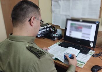 wm.strazgraniczna.pl