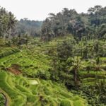 Indonezja. Bali / Travelstory.pl