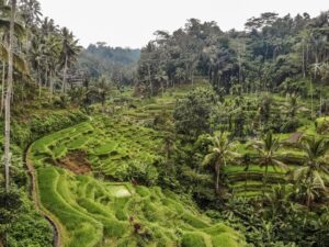 Indonezja. Bali / Travelstory.pl