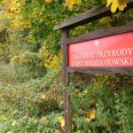 24.10.2020. Rezerwat przyrody Lisiny Bodzechowskie / Emilia Sitarska / Radio Kielce