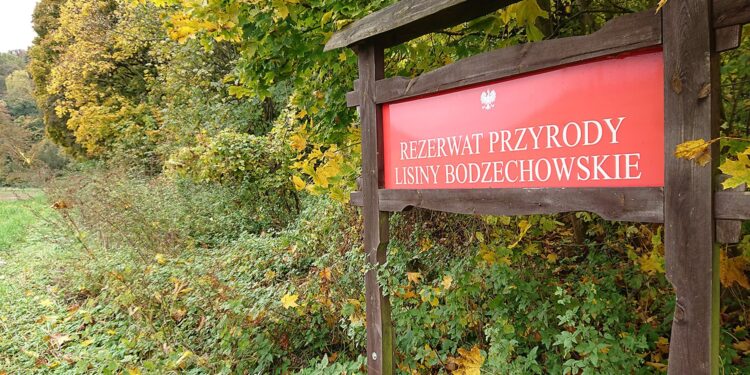 24.10.2020. Rezerwat przyrody Lisiny Bodzechowskie / Emilia Sitarska / Radio Kielce