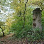 24.10.2020. Rezerwat przyrody Lisiny Bodzechowskie / Emilia Sitarska / Radio Kielce