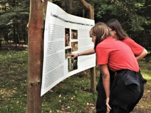 24-27.09.2020 Świętokrzyskie. 62 edycja Harcerskiego Rajdu Świętokrzyskiego / Związek Harcerstwa Polskiego