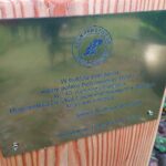 15.10.2020. Góra Witosławska. Krzyż rocznicowy ufundowany przez Nadleśnictwo Łagów / Emilia Sitarska / Radio Kielce