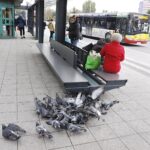 19.10.2020. Kielce. Autobusy MPK / Jarosław Kubalski / Radio Kielce