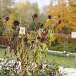 25.10.2020. Kielce. Ogród botaniczny jesienią / Jarosław Kubalski / Radio Kielce