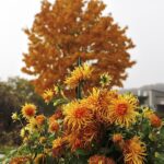 Fot. Jarosław Kubalski - Radio Kielce