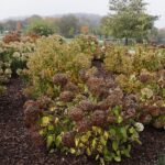 25.10.2020. Kielce. Ogród botaniczny jesienią / Jarosław Kubalski / Radio Kielce