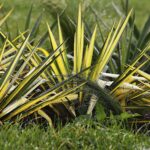 25.10.2020. Kielce. Ogród botaniczny jesienią / Jarosław Kubalski / Radio Kielce