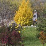 25.10.2020. Kielce. Ogród botaniczny jesienią / Jarosław Kubalski / Radio Kielce